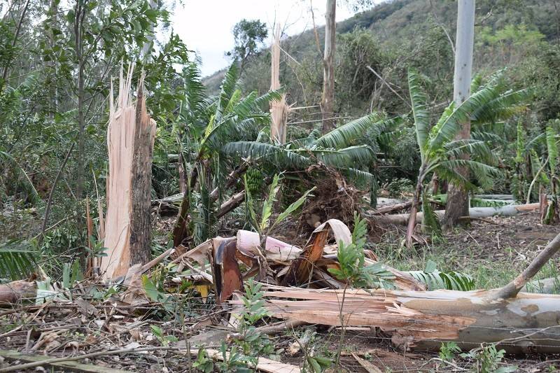 Ventos fortes deixam rastro de destruição em Jacinto Machado — foto 4