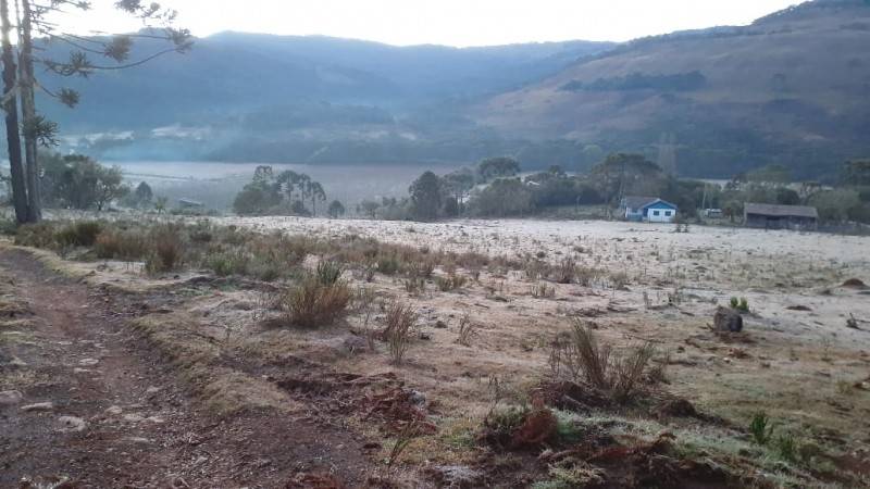 Em 2020, já são 84 registros de geadas na Serra Catarinense — foto 2