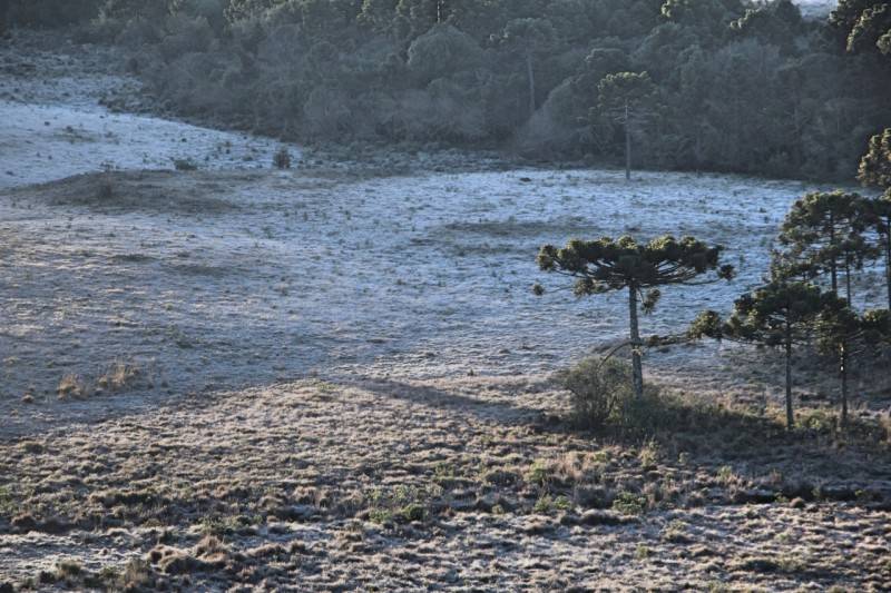 Em 2020, já são 84 registros de geadas na Serra Catarinense — foto 12