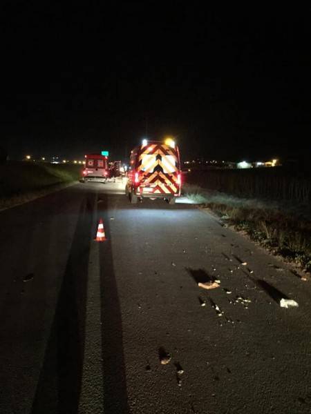 BR-101: ciclista morre após ser atropelado duas vezes — foto 2