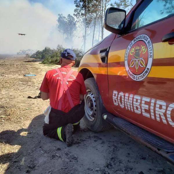 Bombeiros tentam controlar incêndio de grande proporção em plantação de eucaliptos — foto 1