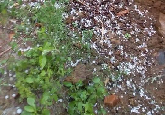 Chuva de granizo atinge cidades do Extremo Sul; em Jacinto Machado foram quatro vezes neste sábado — foto 6
