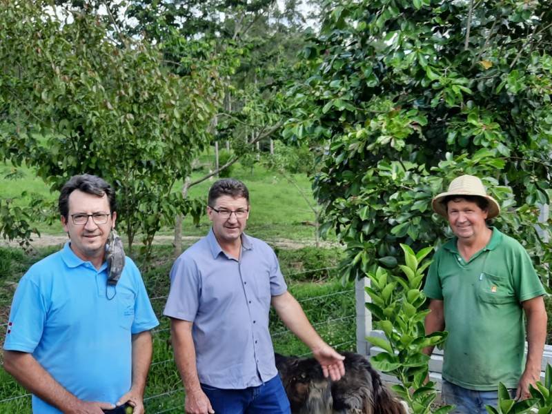 Comitê da Bacia Hidrográfica do Rio Tubarão doa mudas para recomposição de córrego — foto 1