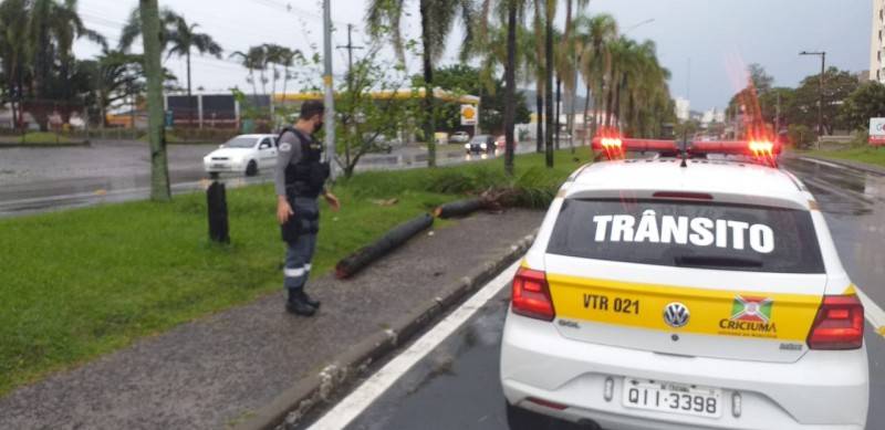 Após temporal em Criciúma, DTT pede atenção aos motoristas no trânsito — foto 2