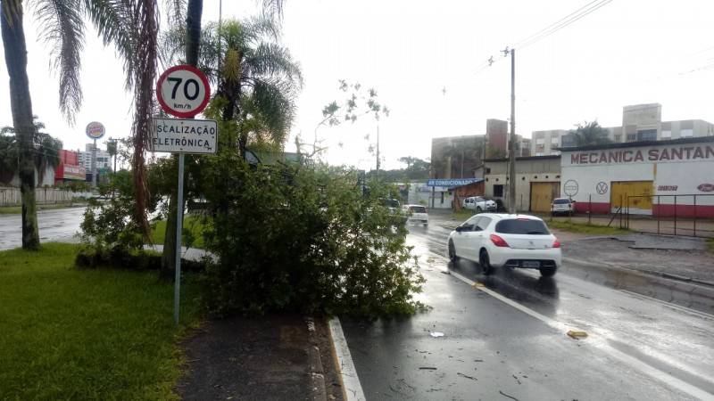 Após temporal em Criciúma, DTT pede atenção aos motoristas no trânsito — foto 4