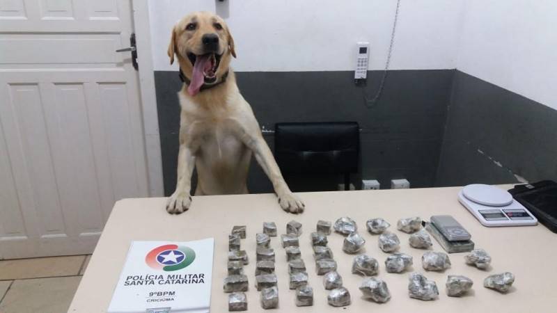 Polícia Militar divulga balanço das ações de 2020 na área do 9º BPM — foto 1