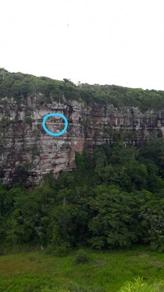 Corpo de Bombeiros resgata cão no paredão do Morro dos Conventos — foto 2