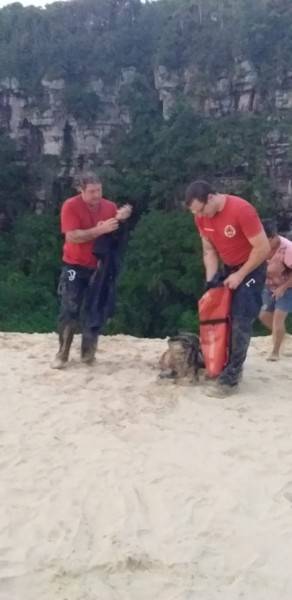 Corpo de Bombeiros resgata cão no paredão do Morro dos Conventos — foto 4