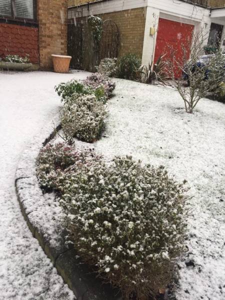 Neve em Londres — foto 2