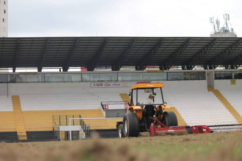 Gramado do estádio Heriberto Hülse passa por revitalização — foto 1