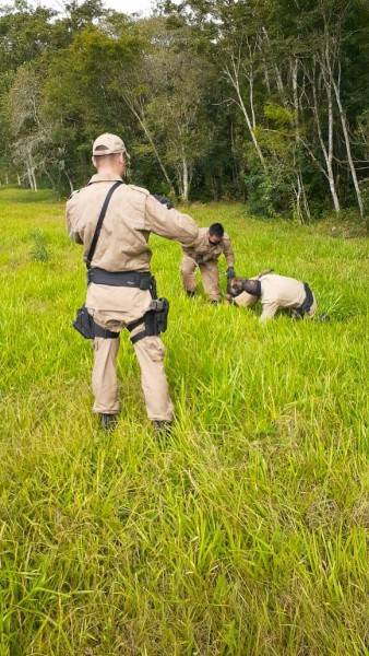 Policiais militares de São Bento do Sul participam de treinamento com equipe do K9 de Criciúma — foto 1