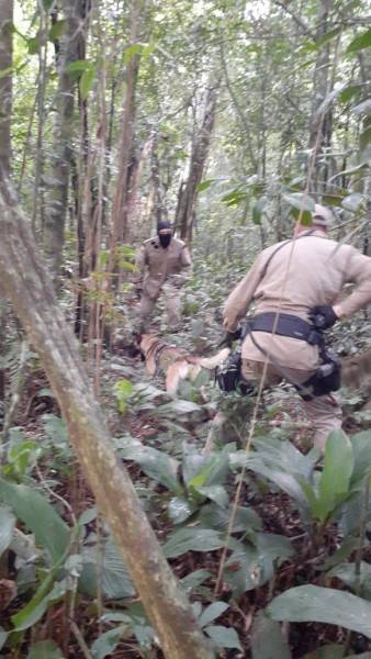 Policiais militares de São Bento do Sul participam de treinamento com equipe do K9 de Criciúma — foto 2