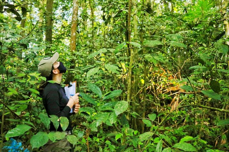 Fundave realiza levantamento da fauna e flora do Parque Natural Municipal Xokleng — foto 1