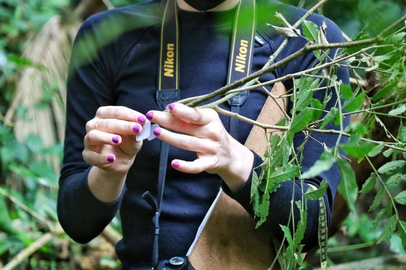 Fundave realiza levantamento da fauna e flora do Parque Natural Municipal Xokleng — foto 2