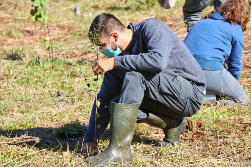 Fundave realiza plantio de mudas no Parque Natural Municipal Xokleng — foto 2