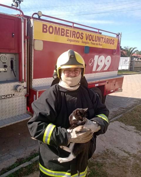 Bombeiros resgatam gato no topo de poste, em Jaguaruna — foto 2