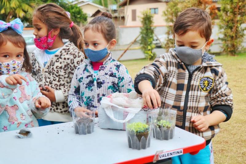 Em Nova Veneza, crianças aprendem sobre cultivo de horta e alimentação saudável — foto 2