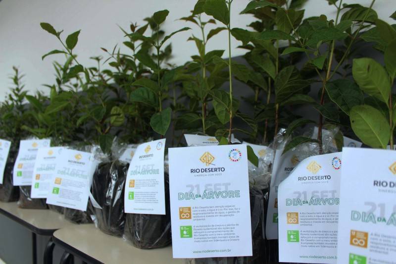 Rio Deserto distribui 12 mil mudas de eucalipto melífero e realiza ação em escola de Treviso — foto 3