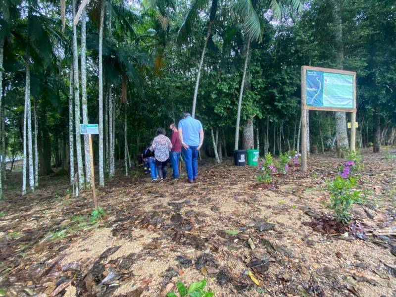 Cocal do Sul ganha Trilha Ecológica do Palmiteiro — foto 1
