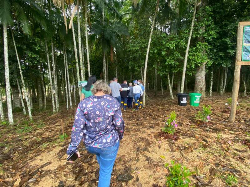 Cocal do Sul ganha Trilha Ecológica do Palmiteiro — foto 2