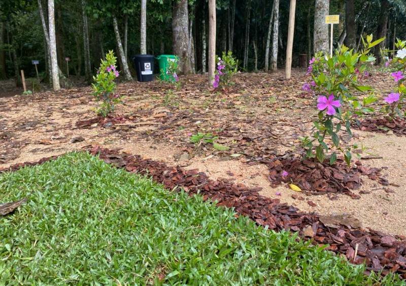Cocal do Sul ganha Trilha Ecológica do Palmiteiro — foto 6