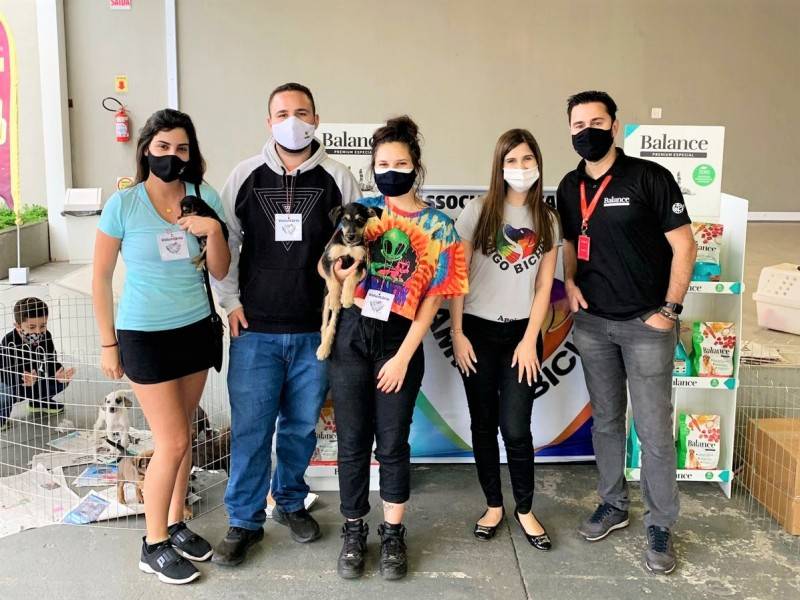Sábado tem feira de adoção de animais no Criciúma Shopping — foto 2