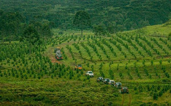 Tubarão sedia a grande final do Transcatarina 2021 — foto 1