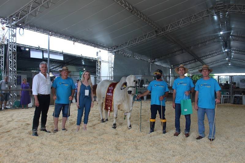 Raça Zebuína Brahman é destaque em julgamento na 10ª Feira AgroPonte — foto 1