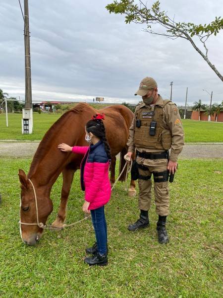 Dez cavalos atuam no policiamento ostensivo montado e em projetos de equoterapia na região do 9º BPM — foto 1