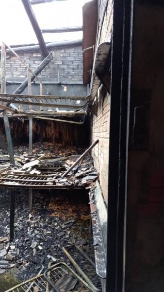 Estufa de fumo é consumida por incêndio em Santa Rosa do Sul — foto 2