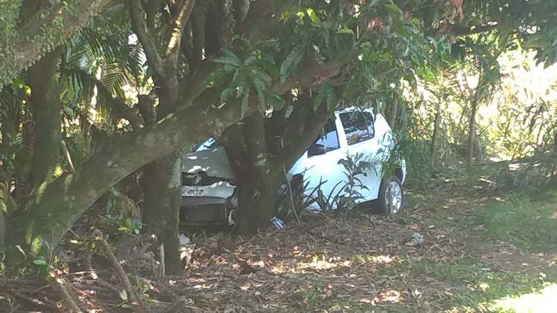 Carro sai da pista e colide em árvore na SC-445 em Içara — foto 1