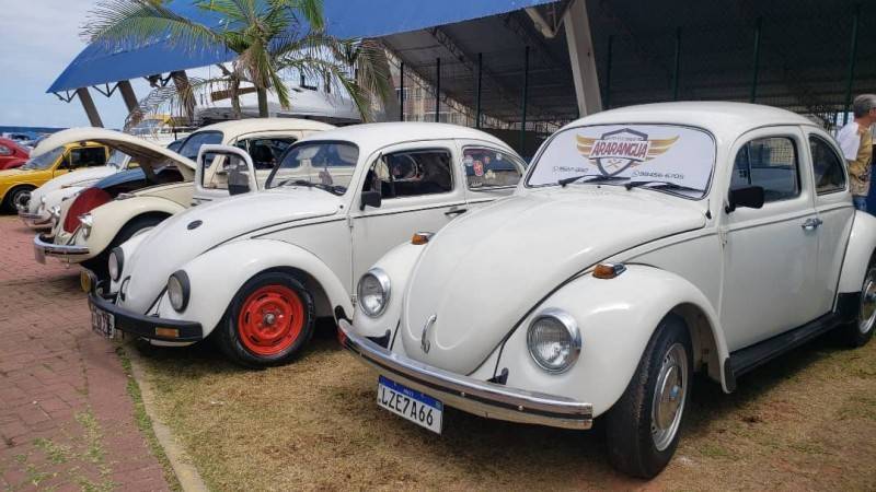 Encontro reúne carros antigos e arrecada 145 quilos de alimentos — foto 1