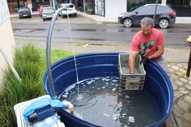 Içara terá Feira do Peixe Vivo a partir desta sexta-feira — foto 1