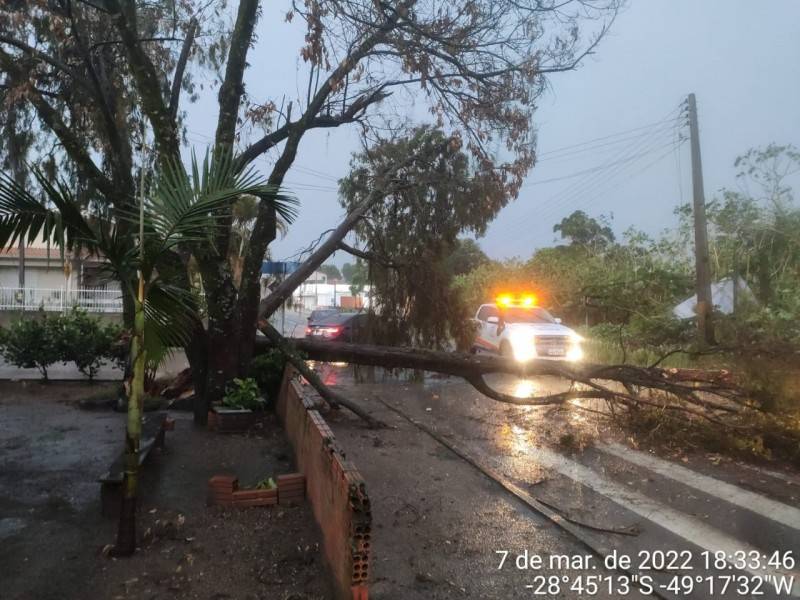 Temporal em Içara destelhou casas, arrancou estruturas e árvores — foto 8