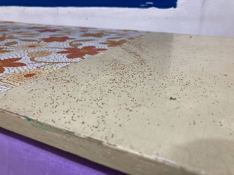 Infestação de cupins compromete cobertura do CEI Pequeno Príncipe — foto 2