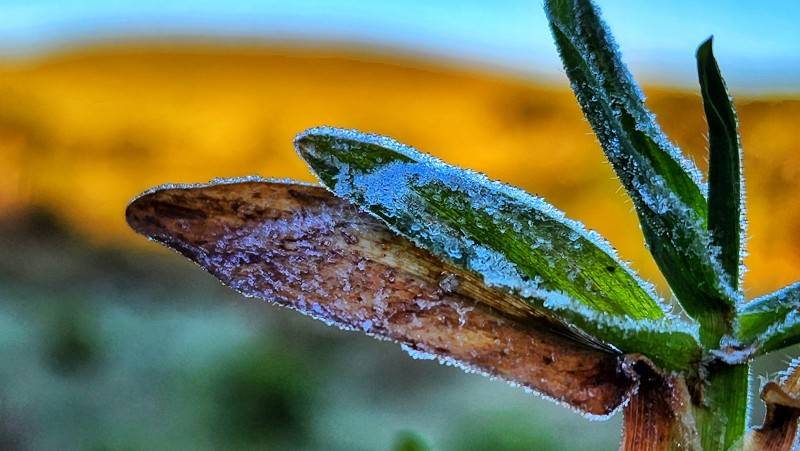 Na Serra, termômetros marcaram temperaturas negativas durante a madrugada — foto 1