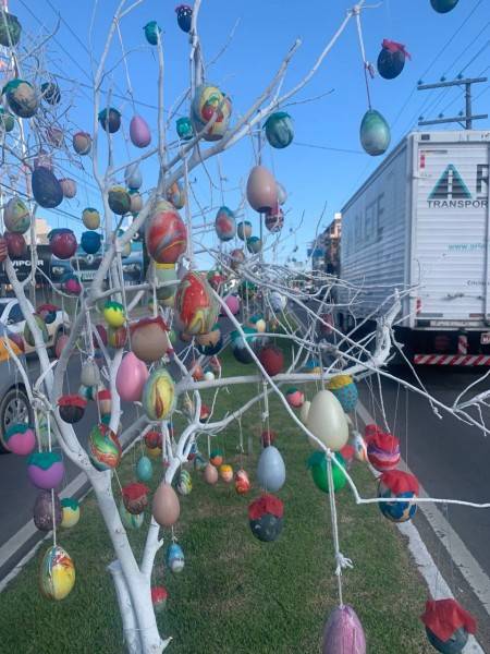 Forquilhinha tem a maior Osterbaum do Sul de Santa Catarina — foto 5