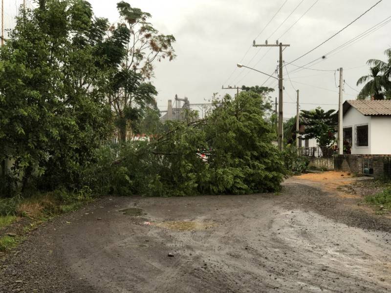 Destelhamentos, quedas de árvores e galpão são registrados em Jacinto Machado — foto 2