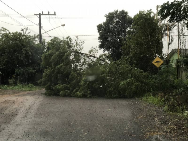 Destelhamentos, quedas de árvores e galpão são registrados em Jacinto Machado — foto 3