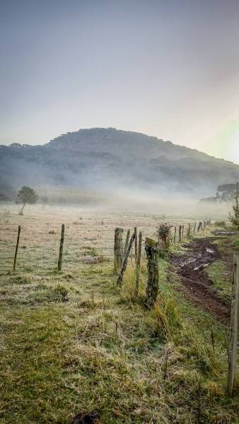 Serra catarinense registra geada ao amanhecer e temperatura de -1,5°C — foto 1