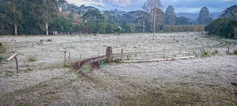 Serra catarinense registra geada ao amanhecer e temperatura de -1,5°C — foto 2