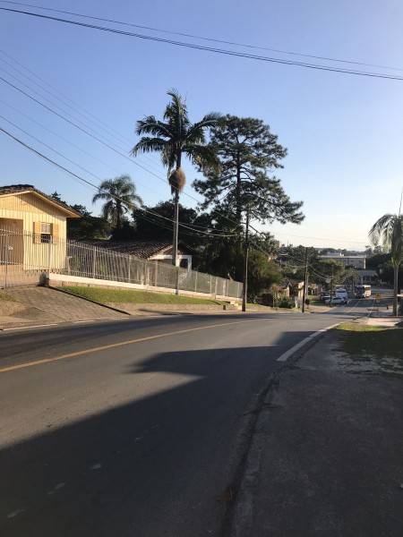 Derramamento de óleo prejudica trânsito no bairro São Luiz — foto 1