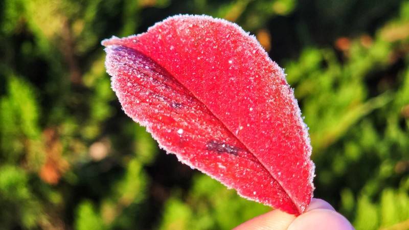 Madrugada na Serra Catarinense teve temperatura de -5,8°C; em Criciúma termômetros marcaram 2°C — foto 9