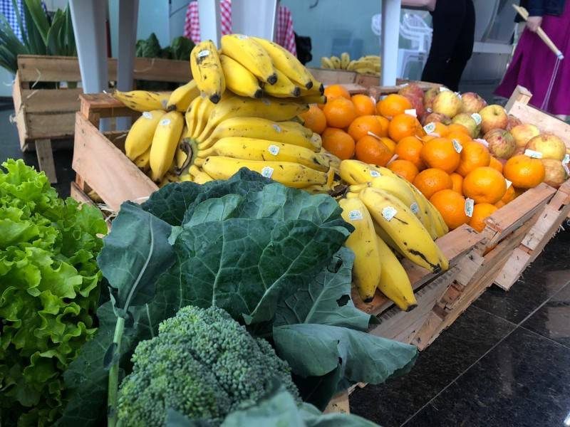 Em Criciúma, café colonial e entrega de produtos cultivados na cidade marcam o Dia do Colono — foto 1