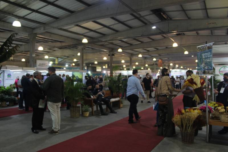 Tecnologia e inovação: AgroPonte gera conexão entre setores — foto 3