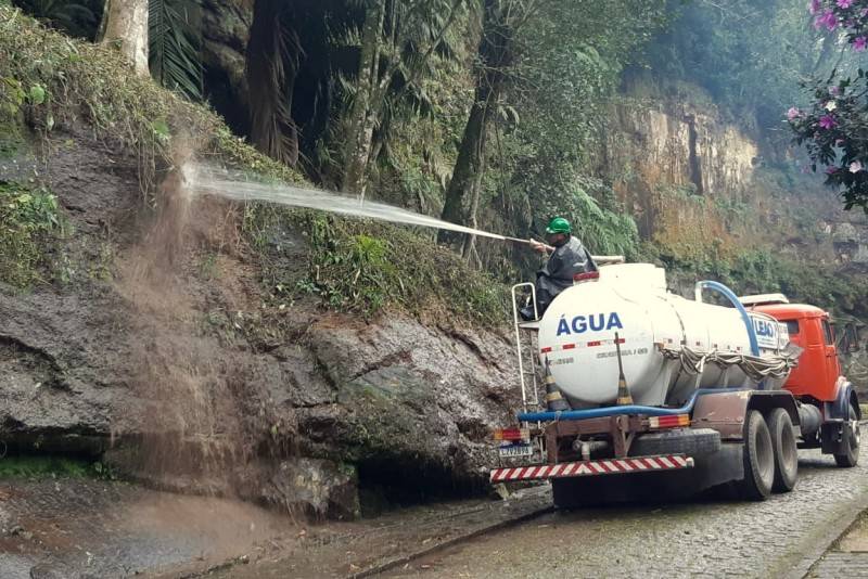 Esculturas do Paredão, em Orleans, passam por limpeza e poda de árvores — foto 3