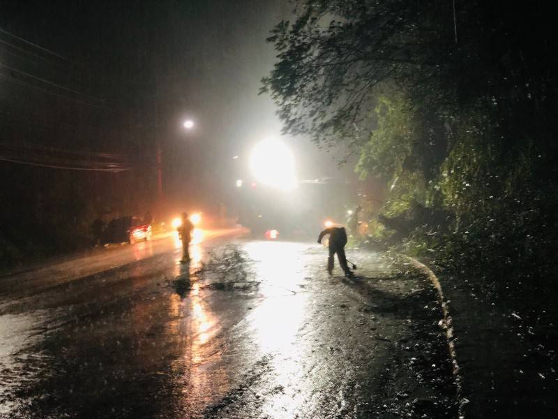 Siderópolis: deslizamento de terra e queda de árvore deixam trânsito parcialmente bloqueado na SC-445 — foto 2