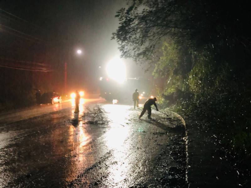 Siderópolis: deslizamento de terra e queda de árvore deixam trânsito parcialmente bloqueado na SC-445 — foto 4