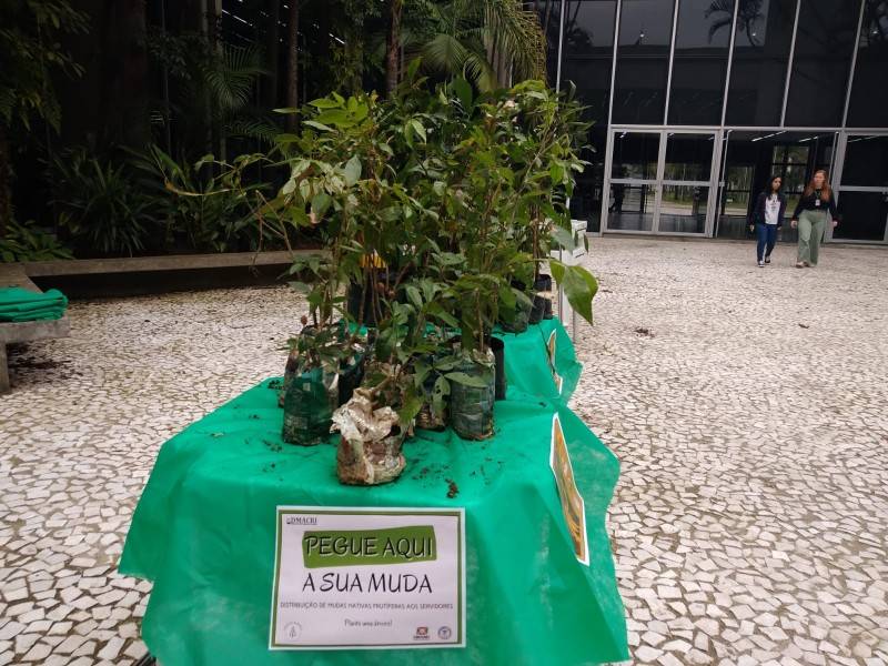 Diretoria de Meio Ambiente promove atividades em comemoração ao ‘Dia da Árvore’ em Criciúma — foto 2
