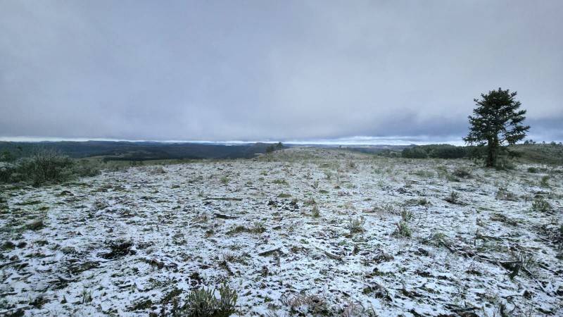 Após nove anos, volta a nevar na serra no período da primavera — foto 2